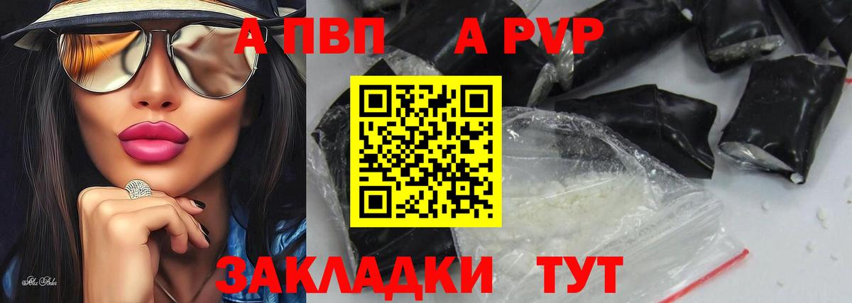 Альфа ПВП СК Ростов Великий