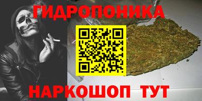 МДПВ Гагарин
