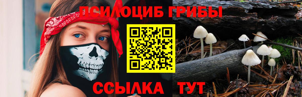 Ростов Великий  Псилоцибиновые грибы мухоморы  Вход с VPN 